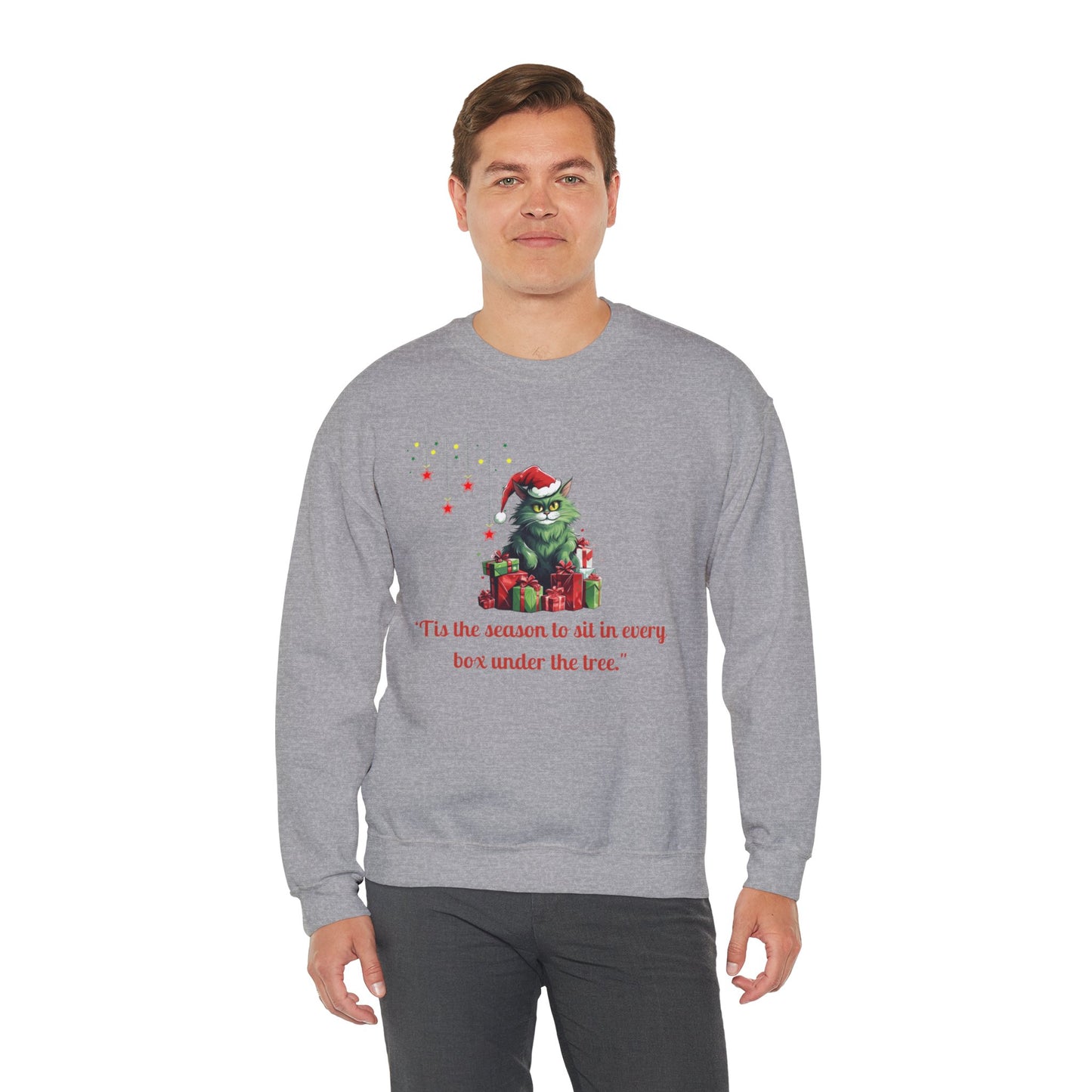 Funny Christmas Cat Sweatshirt - Christmas Crewneck- Holiday Sweatshirt