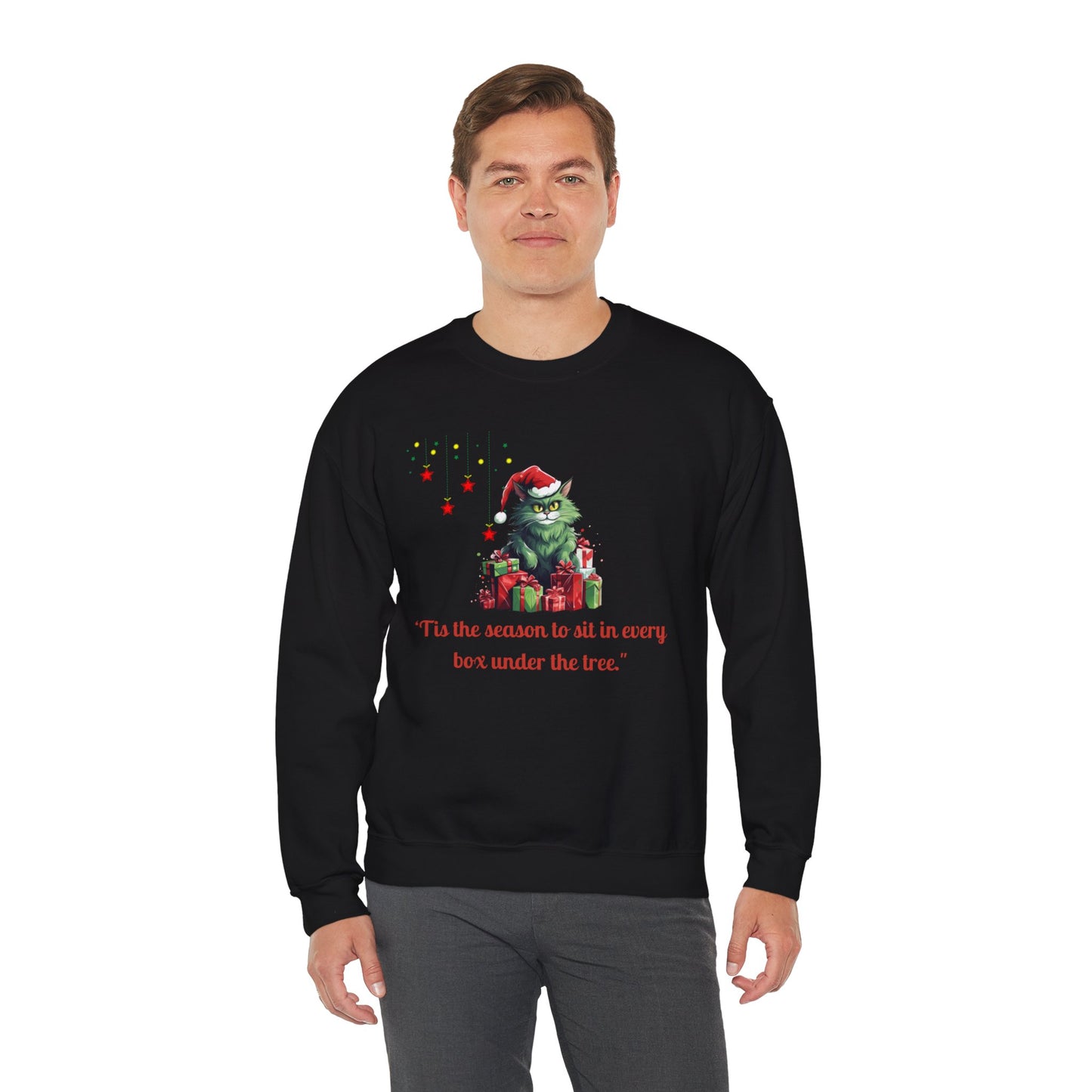 Funny Christmas Cat Sweatshirt - Christmas Crewneck- Holiday Sweatshirt