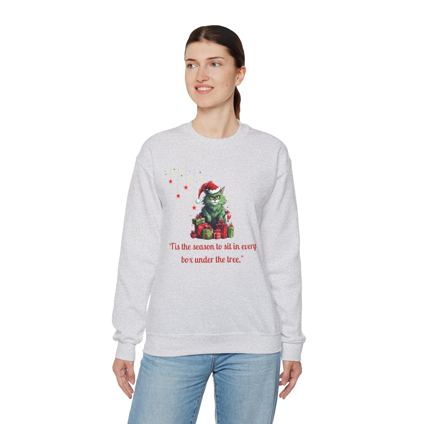 Funny Christmas Cat Sweatshirt - Christmas Crewneck- Holiday Sweatshirt